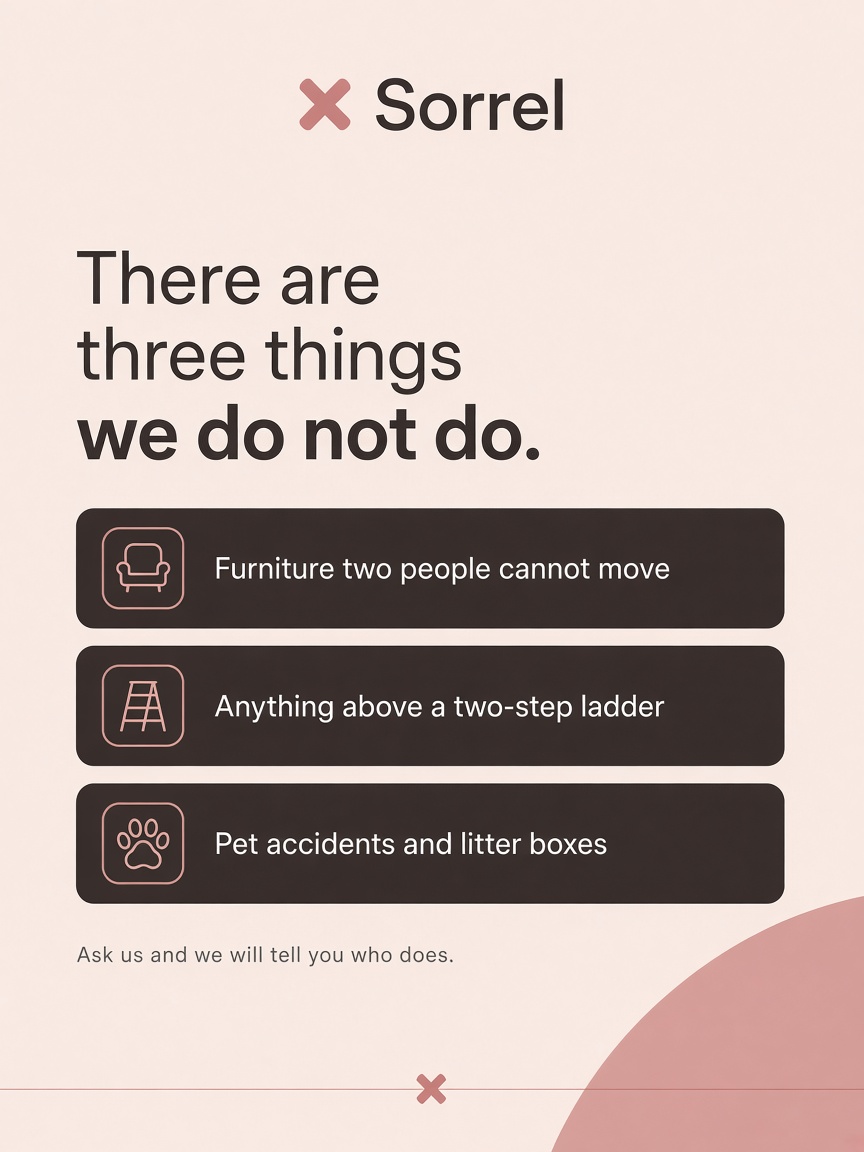 Sorrel Cleaning post: "There are three things we do not do.", three espresso cards on a blush field naming the furniture, the ladder and the litter box.