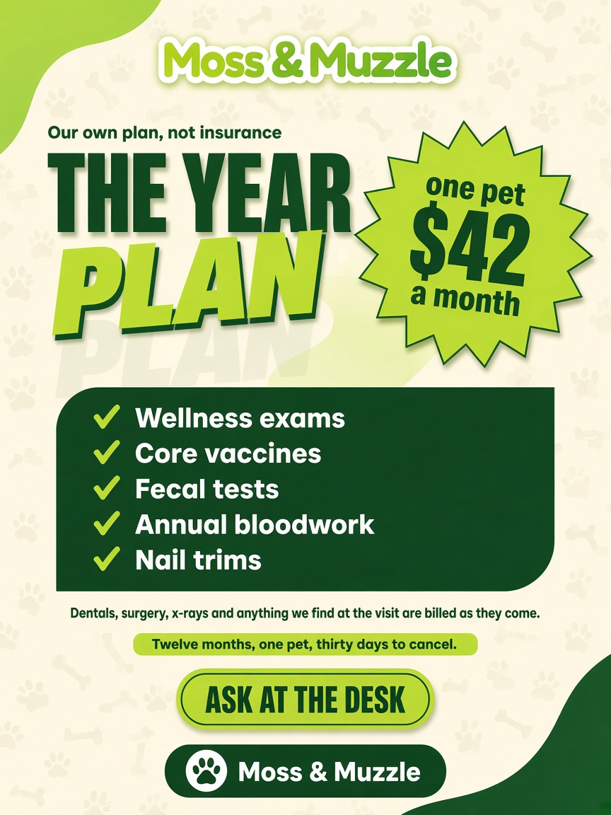 Moss & Muzzle post: "THE YEAR PLAN", an ivory card with $42 a month in a lime starburst and five things the plan covers.