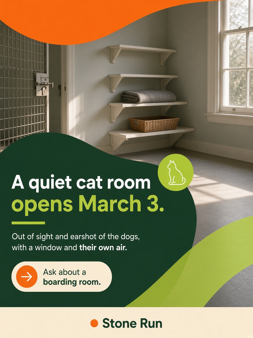 Stone Run post: "A quiet cat room opens March 3.", an empty boarding room with white shelves, a folded blanket and morning light on the floor.