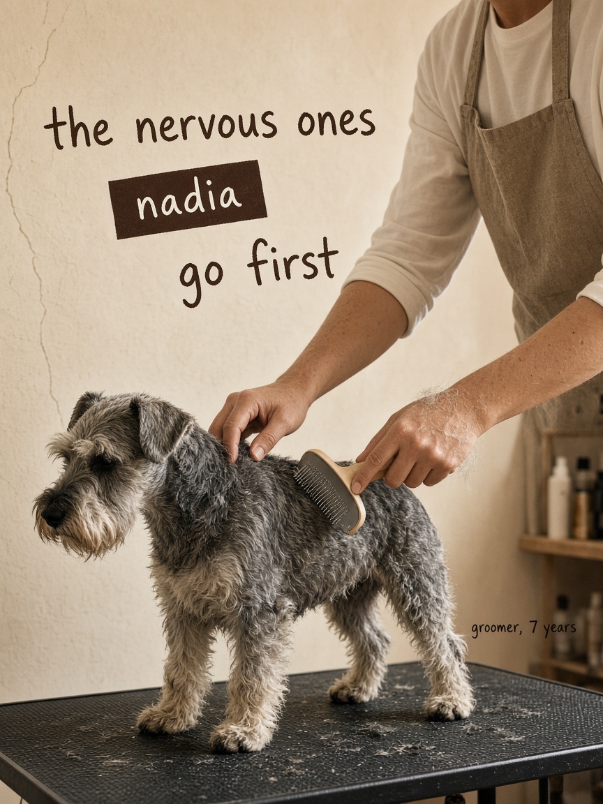 Birch Basin post: "the nervous ones go first", a wire-haired terrier standing on a grooming table while two hands brush its flank.