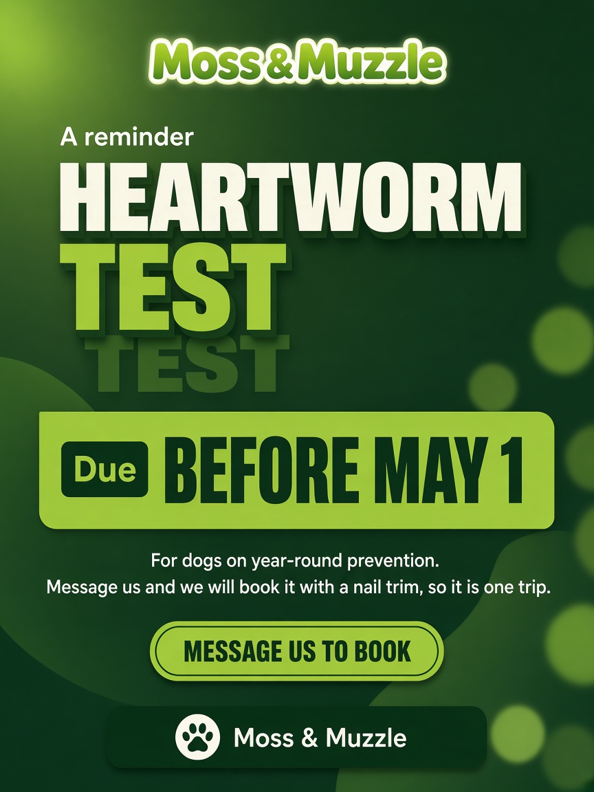 Moss & Muzzle post: "HEARTWORM TEST", a deep green card with a lime band reading Before May 1 and a line about booking it with a nail trim.